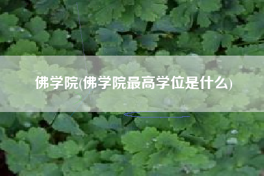 佛学院(佛学院最高学位是什么)
