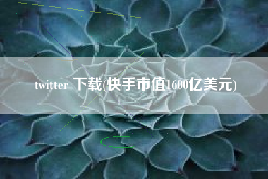 twitter 下载(快手市值1600亿美元)