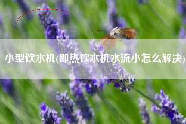 小型饮水机(即热饮水机水流小怎么解决)