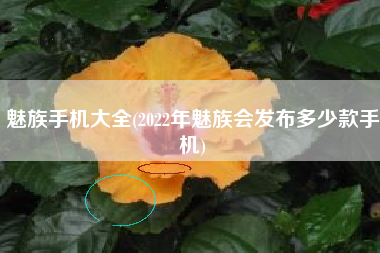 魅族手机大全(2022年魅族会发布多少款手机)