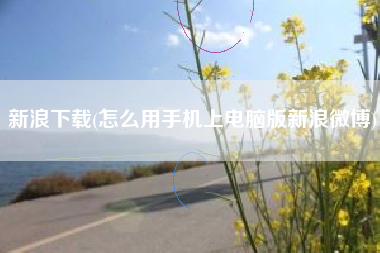 新浪下载(怎么用手机上电脑版新浪微博)