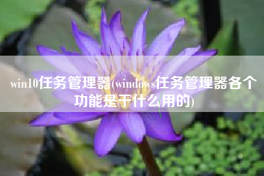 win10任务管理器(windows任务管理器各个功能是干什么用的)
