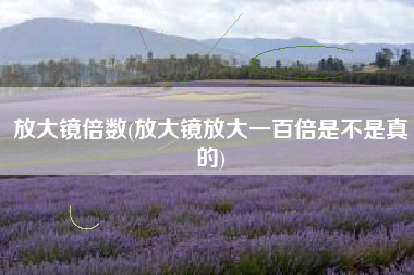 放大镜倍数(放大镜放大一百倍是不是真的)