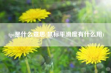 tps是什么意思(鼠标平滑度有什么用)