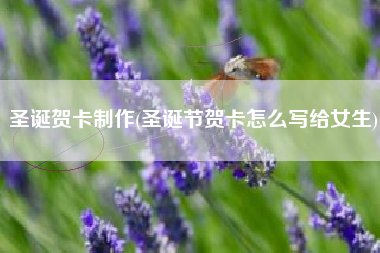 圣诞贺卡制作(圣诞节贺卡怎么写给女生)