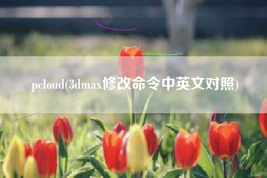 pcloud(3dmax修改命令中英文对照)