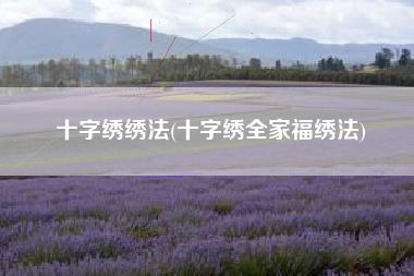 十字绣绣法(十字绣全家福绣法)