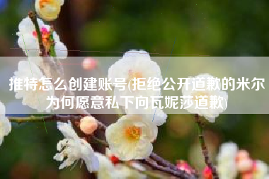 推特怎么创建账号(拒绝公开道歉的米尔为何愿意私下向瓦妮莎道歉)