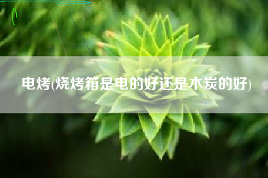 电烤(烧烤箱是电的好还是木炭的好)