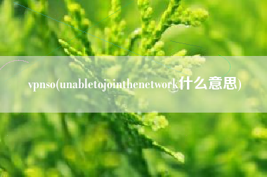 vpnso(unabletojointhenetwork什么意思)