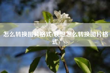 怎么转换图片格式(联想怎么转换图片格式)