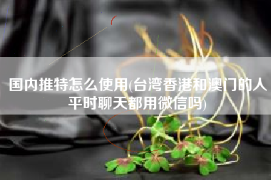 国内推特怎么使用(台湾香港和澳门的人平时聊天都用微信吗)