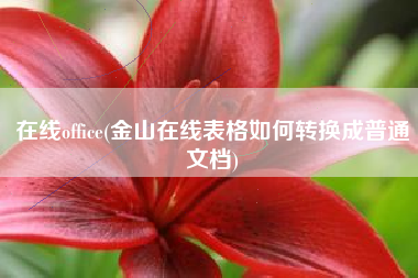 在线office(金山在线表格如何转换成普通文档)