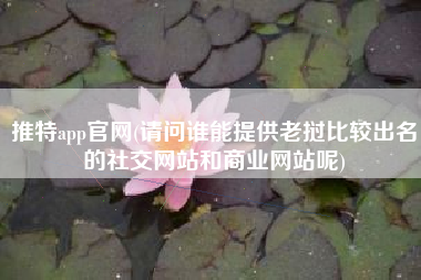 推特app官网(请问谁能提供老挝比较出名的社交网站和商业网站呢)