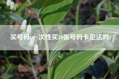 买号码(一次性买10张号码卡犯法吗)
