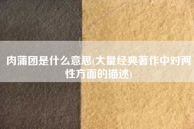 肉蒲团是什么意思(大量经典著作中对两性方面的描述)