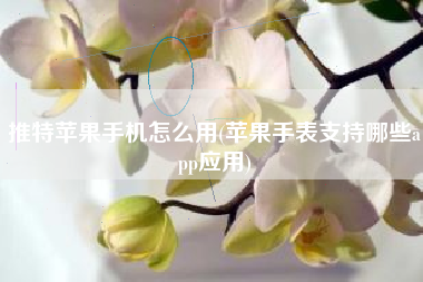 推特苹果手机怎么用(苹果手表支持哪些app应用)