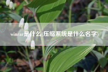 winrar是什么(压缩系统是什么名字)