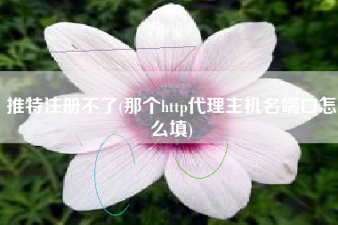 推特注册不了(那个http代理主机名端口怎么填)