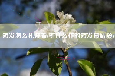 短发怎么扎好看(剪什么样的短发最减龄)