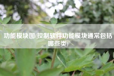 功能模块图(控制软件功能模块通常包括哪些类)