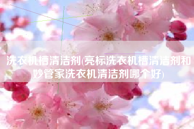 洗衣机槽清洁剂(亮标洗衣机槽清洁剂和妙管家洗衣机清洁剂哪个好)
