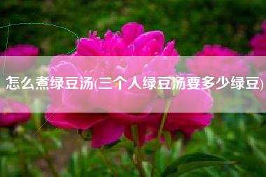 怎么煮绿豆汤(三个人绿豆汤要多少绿豆)