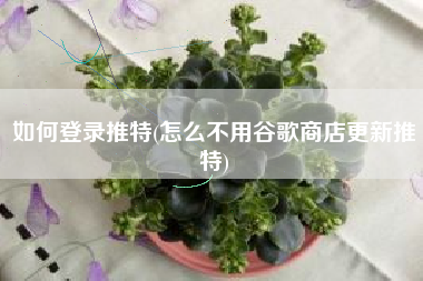 如何登录推特(怎么不用谷歌商店更新推特)