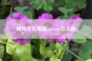 推特怎么使用(ubuntu怎么用)