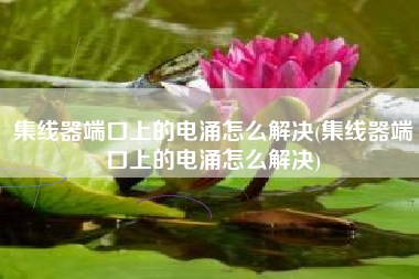 集线器端口上的电涌怎么解决(集线器端口上的电涌怎么解决)