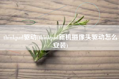 thinkpad驱动(thinkpad新机摄像头驱动怎么安装)