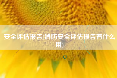 安全评估报告(消防安全评估报告有什么用)