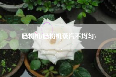 详细阅读:肠粉机(肠粉机蒸汽不均匀) 肠粉机(肠粉机蒸汽不均匀)