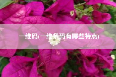 详细阅读:一维码(一维条码有哪些特点) 一维码(一维条码有哪些特点)