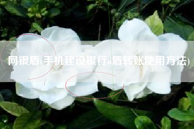网银盾(手机建设银行u盾转账使用方法)