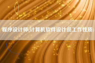 程序设计师(计算机软件设计员工作性质)