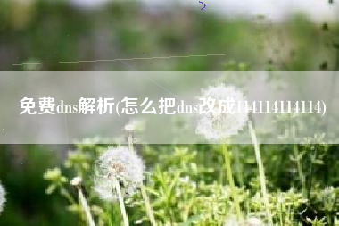 免费dns解析(怎么把dns改成114114114114)