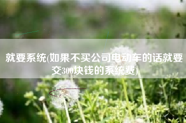 就要系统(如果不买公司电动车的话就要交300块钱的系统费)