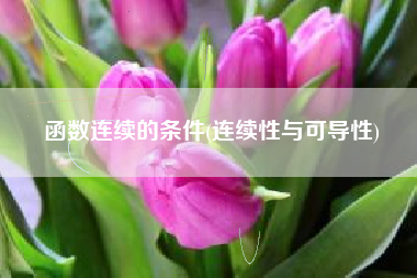 函数连续的条件(连续性与可导性)