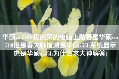 华硕vm510l(我的买的电脑上贴着是华硕vm510l但是鲁大师检测是华硕x55li系统显示也是华硕x555li为什么求大神解答)