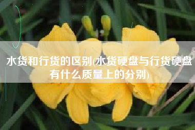 水货和行货的区别(水货硬盘与行货硬盘有什么质量上的分别)