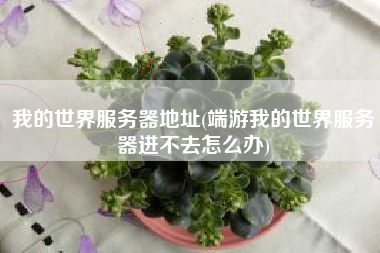 我的世界服务器地址(端游我的世界服务器进不去怎么办)