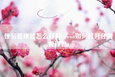 任务管理器怎么打开(seewo如何打开任务管理器)