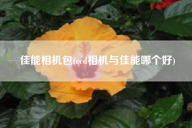 佳能相机包(ccd相机与佳能哪个好)