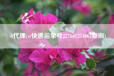 st代理(st快递运单号227661254063查询)