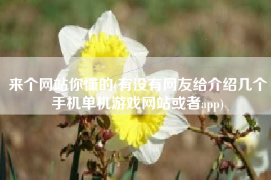 来个网站你懂的(有没有网友给介绍几个手机单机游戏网站或者app)