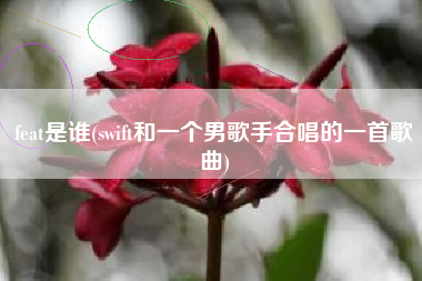 feat是谁(swift和一个男歌手合唱的一首歌曲)