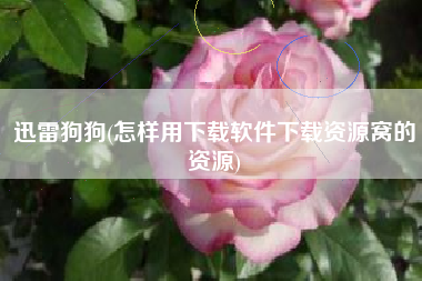迅雷狗狗(怎样用下载软件下载资源窝的资源)