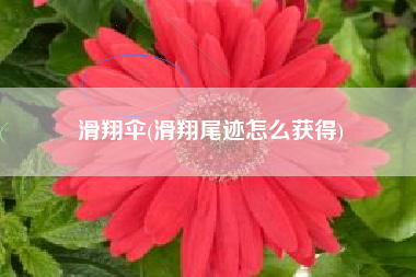 滑翔伞(滑翔尾迹怎么获得)