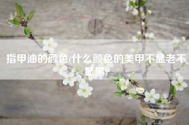 指甲油的颜色(什么颜色的美甲不显老不显黑)